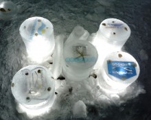 LED-valot, logot sekä simpukat jäähän upotettuna